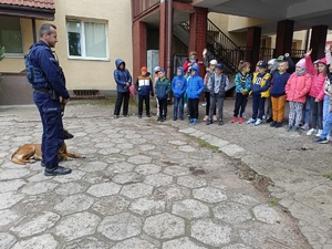 pokaz policyjnego psa w komendzie