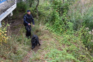 policjant z psem służbowym
