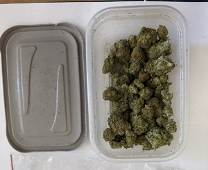 zabezpieczona marihuna